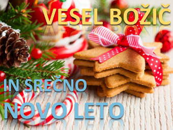 VESEL BOŽIČ IN SREČNO NOVO LETO 2018